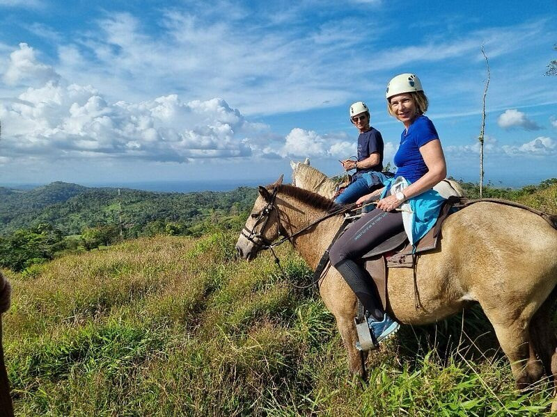 Bijagua Rainforest - Tours-Bijagua de Upala必去景点