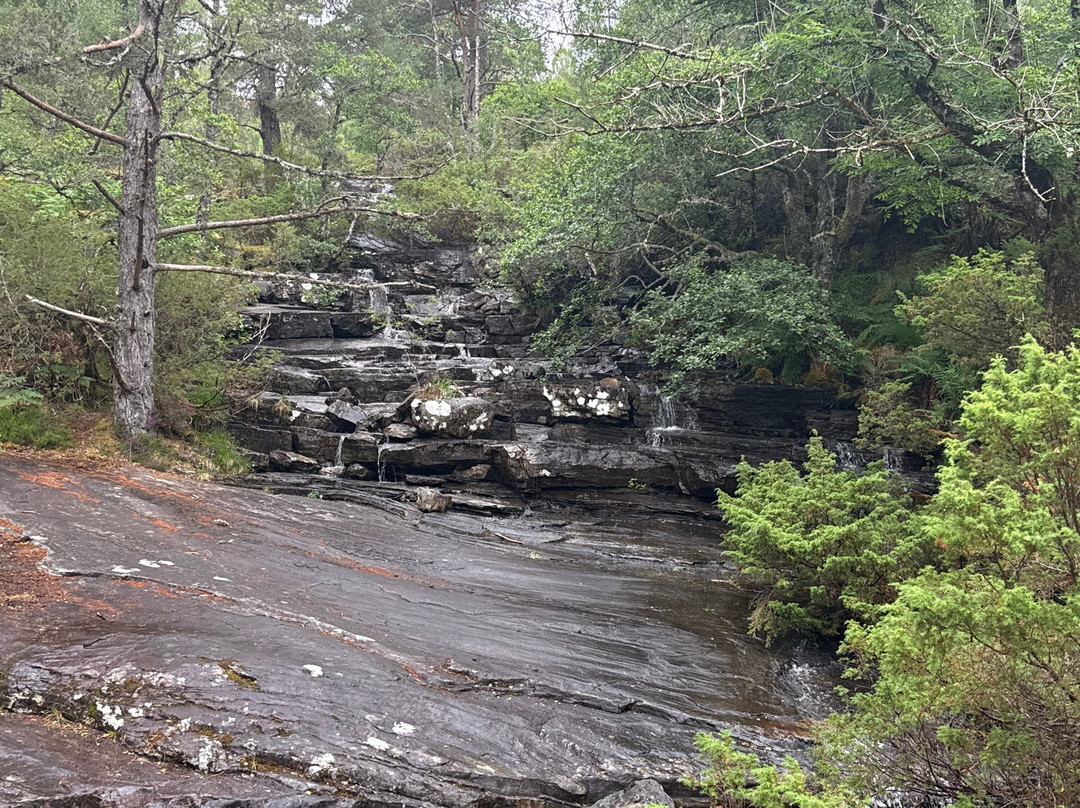 Dundreggan Rewilding Centre-因弗内斯必去景点