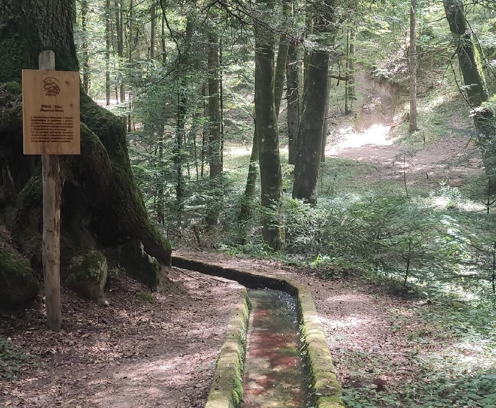 Parco Naturale Regionale delle Serre-Serra San Bruno必去景点