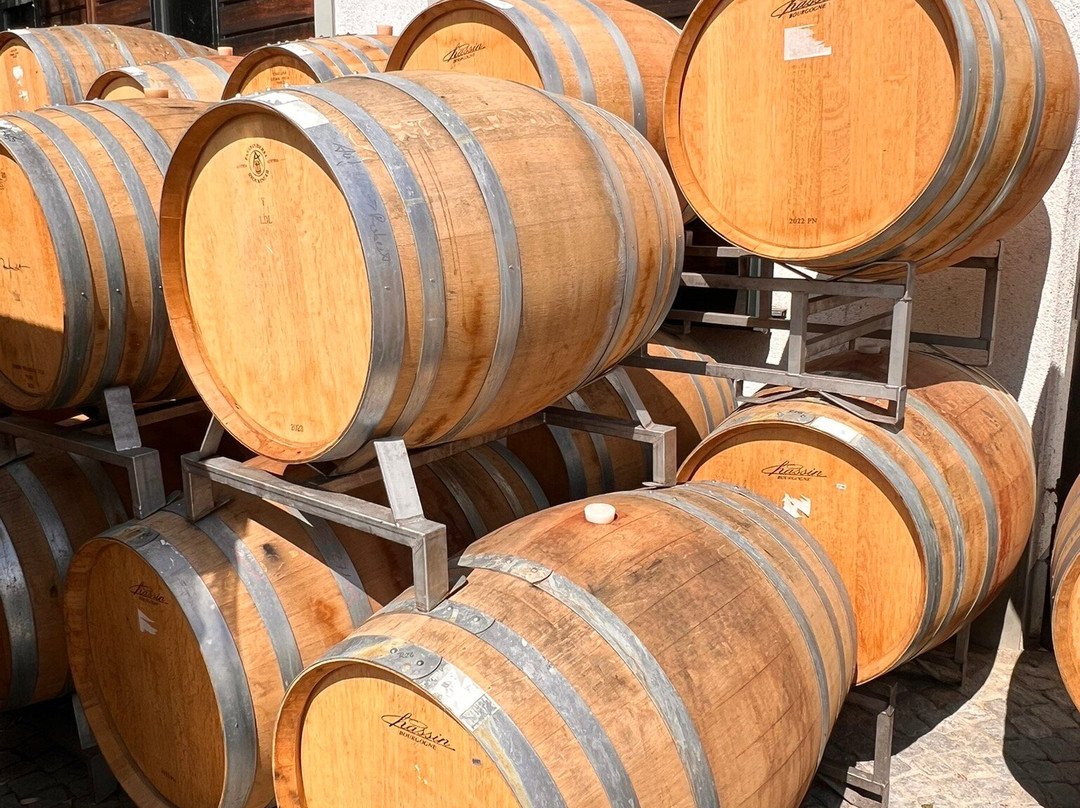 Weingut Aufricht-梅尔斯堡（博登湖）必去景点