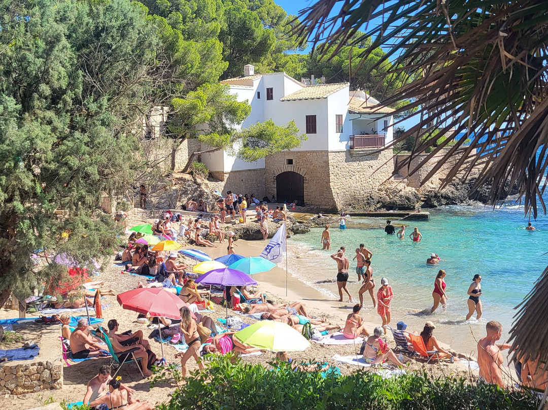 Cala Gat-Cala Ratjada必去景点