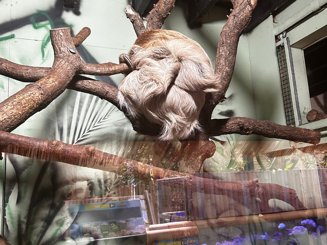 Fota Wildlife Park-Carrigtwohill必去景点