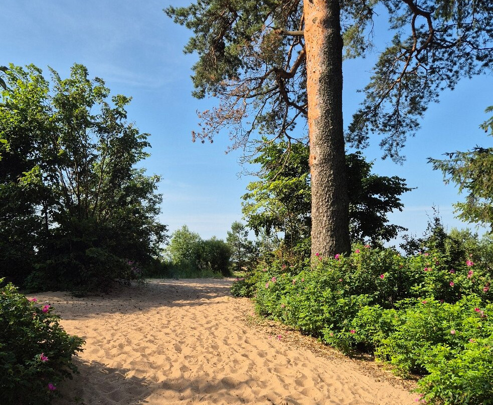 Natural Sanctuary Komarovskiy Bereg-Komarovo必去景点