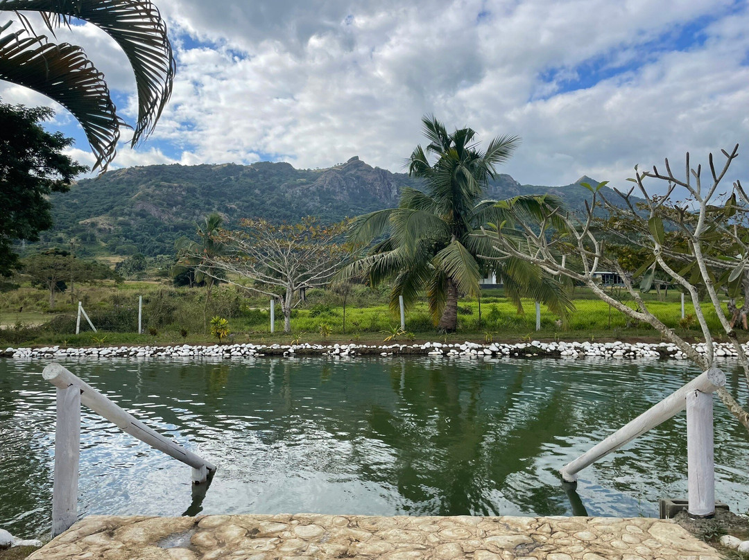 Tifajek Mud Pool Hot Spring And Tours-Votualevu必去景点