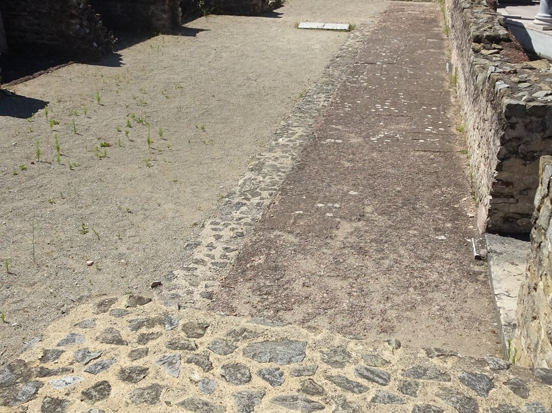 Musee Galo-Romain-Saint-Romain-en-Gal必去景点
