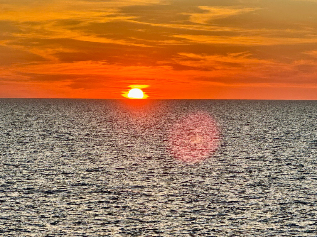 Coral Expeditions-凯恩斯必去景点