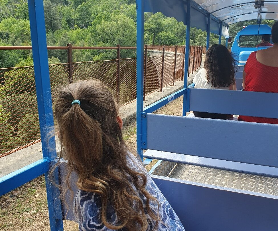 Train de l'Andorge en Cevennes-Sainte-Cecile-d'Andorge必去景点