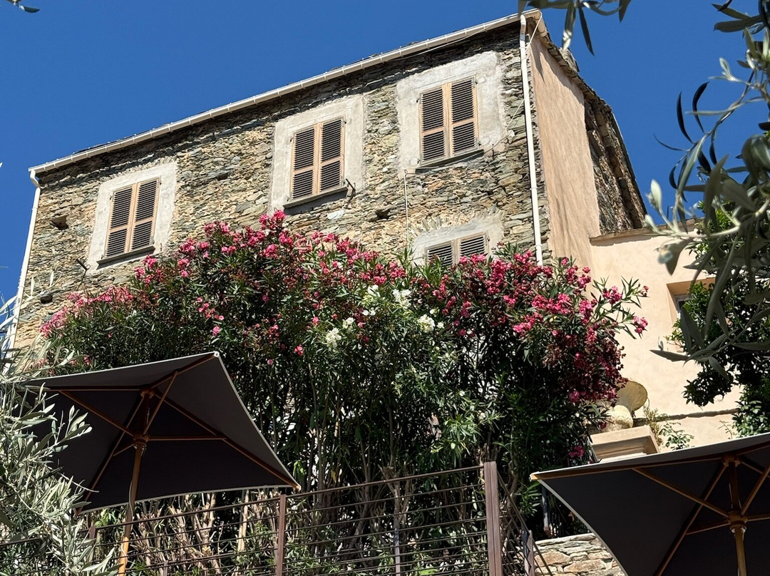 尤帕拉祖瑟瑞努酒店主图