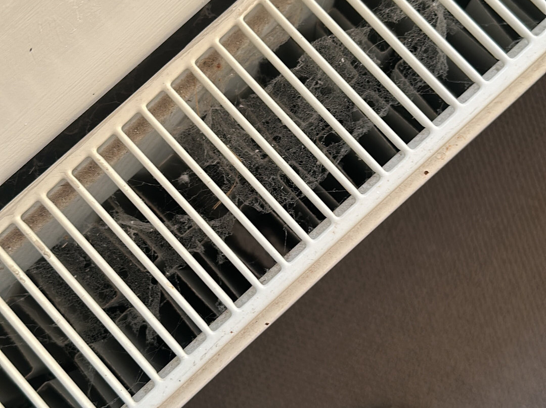 The Kings Arms主图