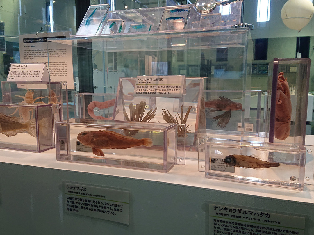 Polar Science Museum-立川市必去景点