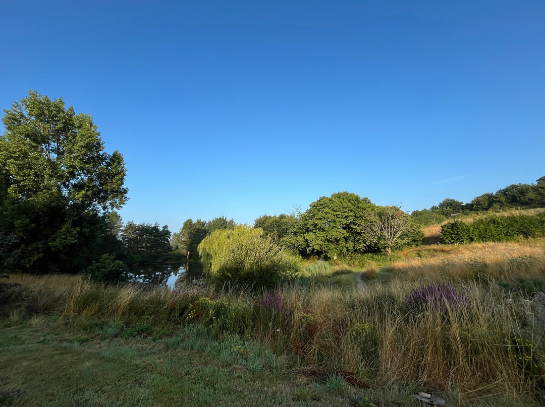 West Pitt Farm Fishery-蒂弗顿必去景点