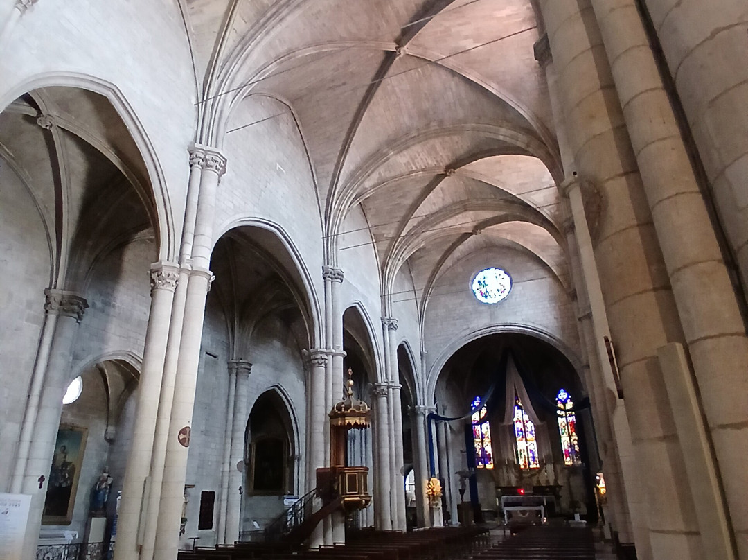 Église Sainte-Marthe de Tarascon-塔拉斯孔必去景点