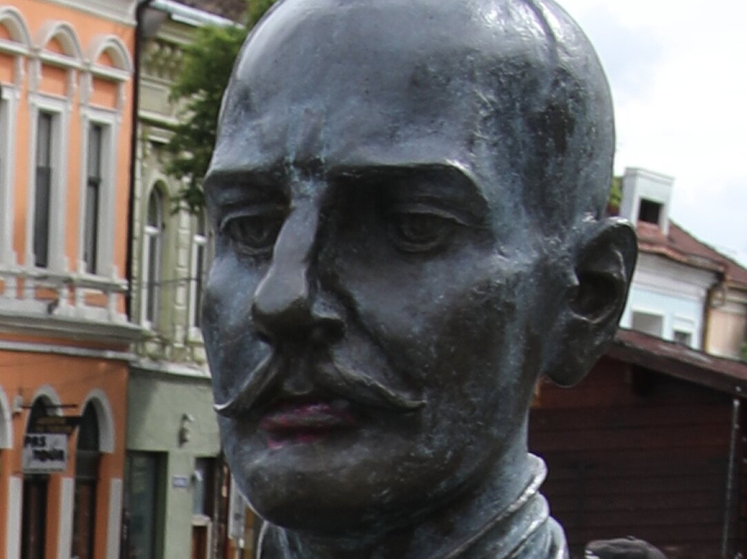 Statue En Bronze Du Photographe Alexandru Rosu À Bistrita-Bistrita必去景点