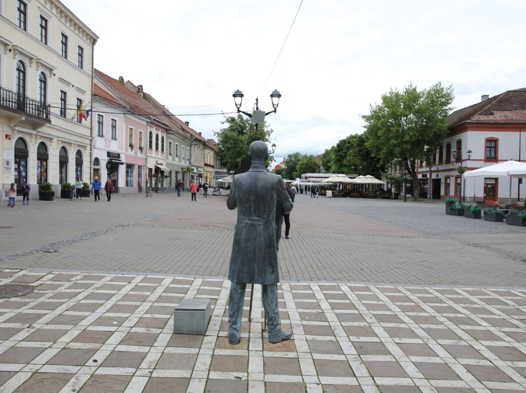 Statue En Bronze Du Photographe Alexandru Rosu À Bistrita-Bistrita必去景点
