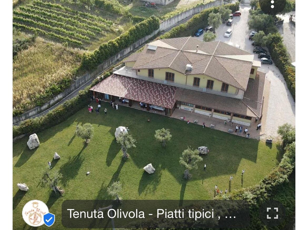 Tenuta Olivola