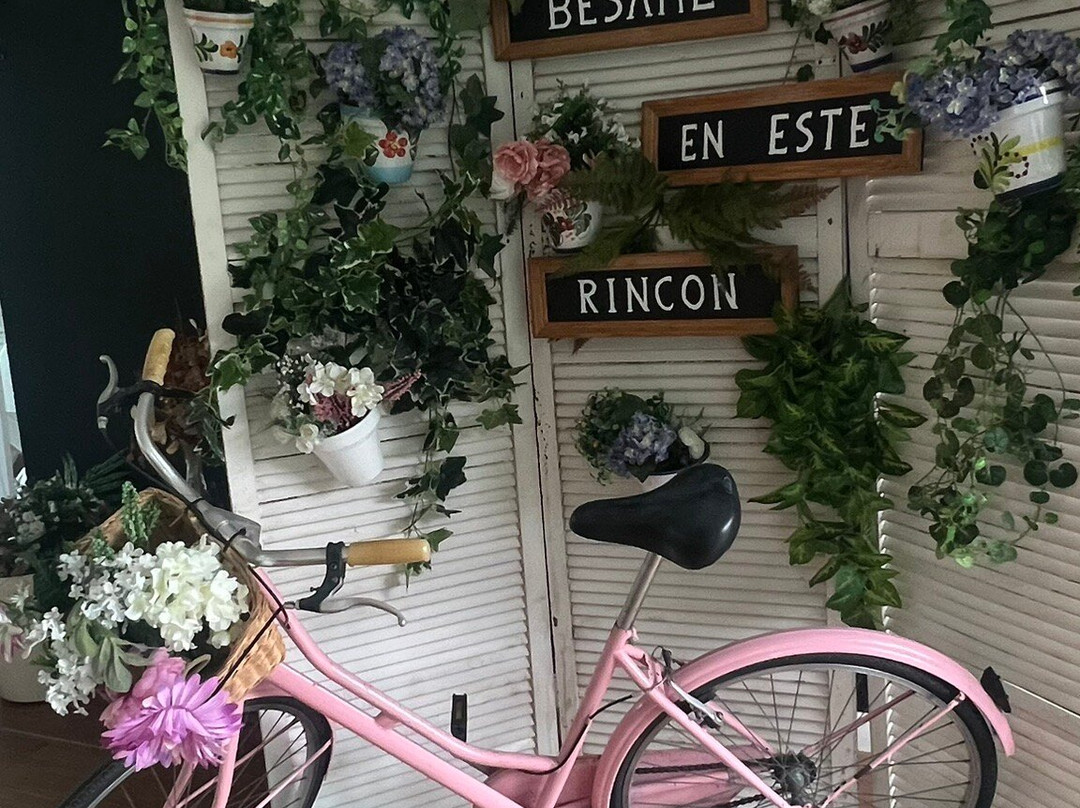 Hotel Playa Ribera主图