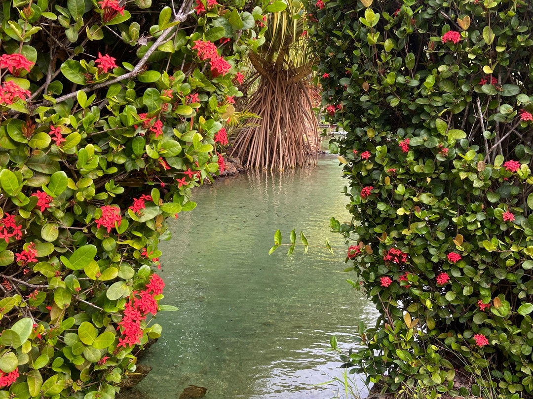 Tao Paradise-Pureza必去景点