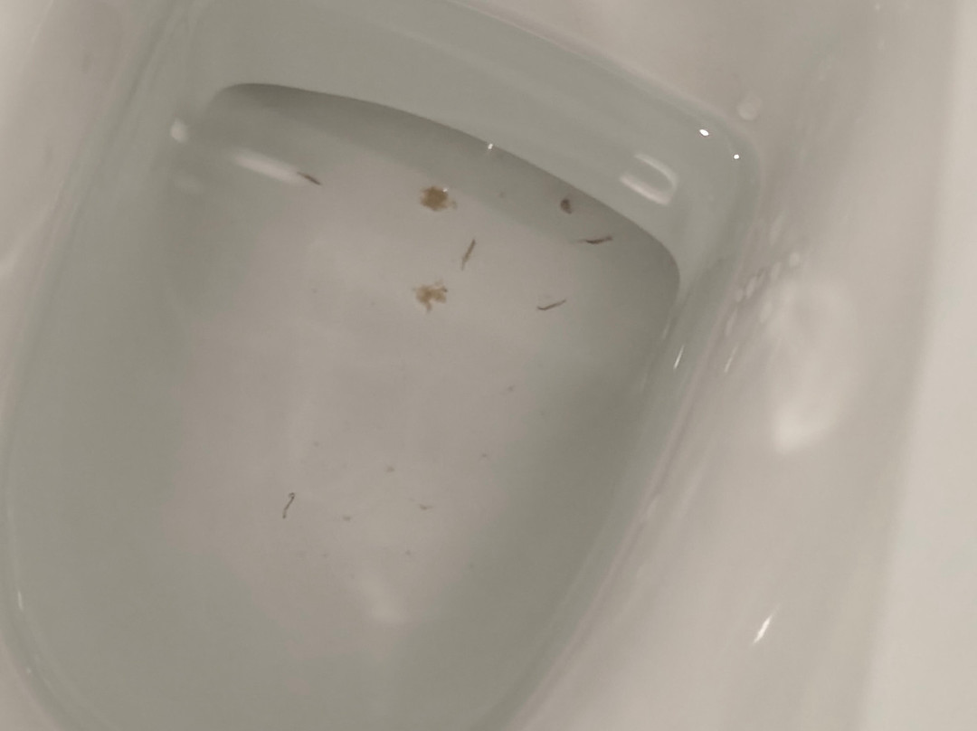 Westlodge Hotel主图