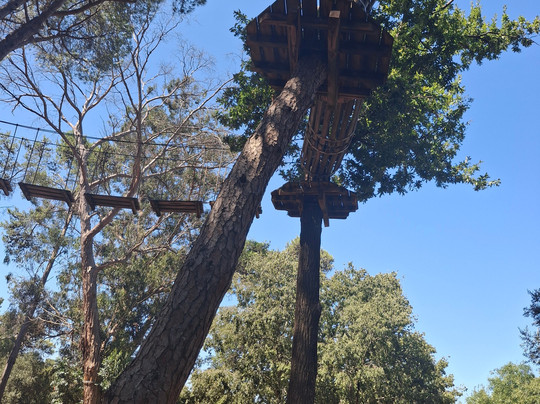 Adventure Park-里斯本必去景点