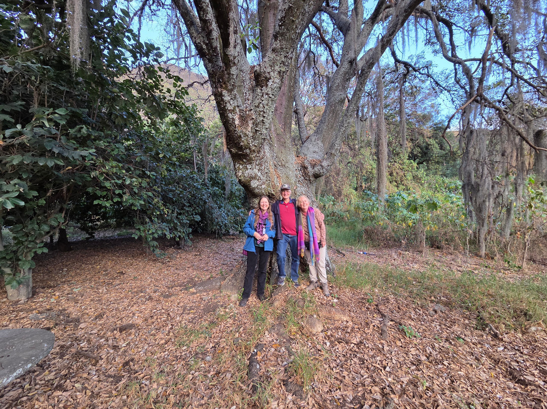 Andean Spirit Lodge主图