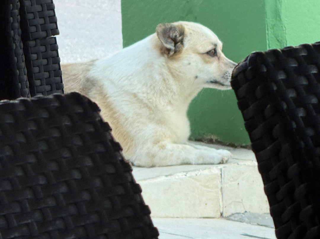 The Vine-Sidari必去景点