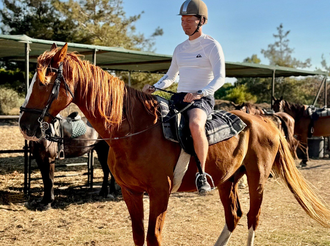 Happy Horses-扎金索斯必去景点