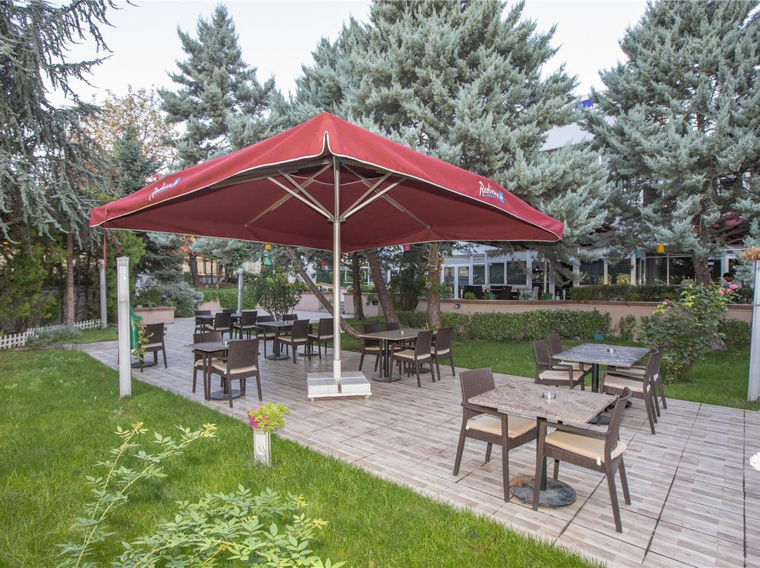 Radisson Blu Hotel, Ankara主图