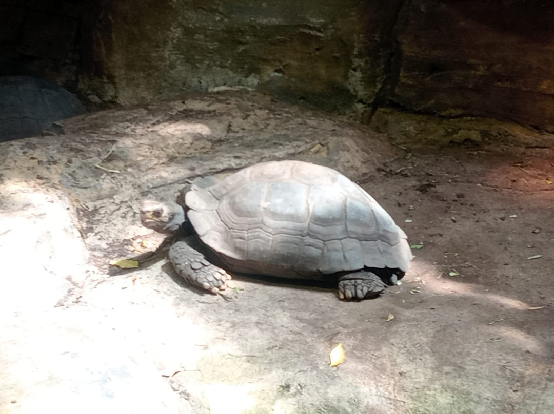 Aquazoo Loebbecke Museum-杜塞尔多夫必去景点