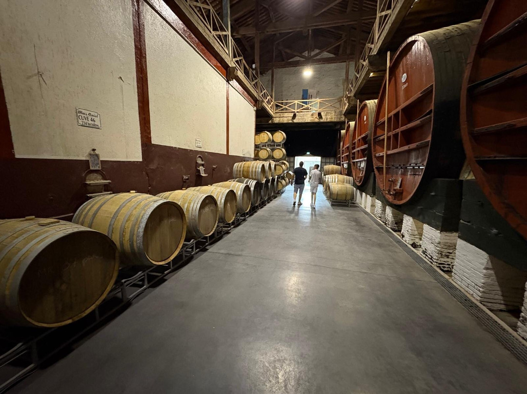 Mas Amiel-Maury必去景点