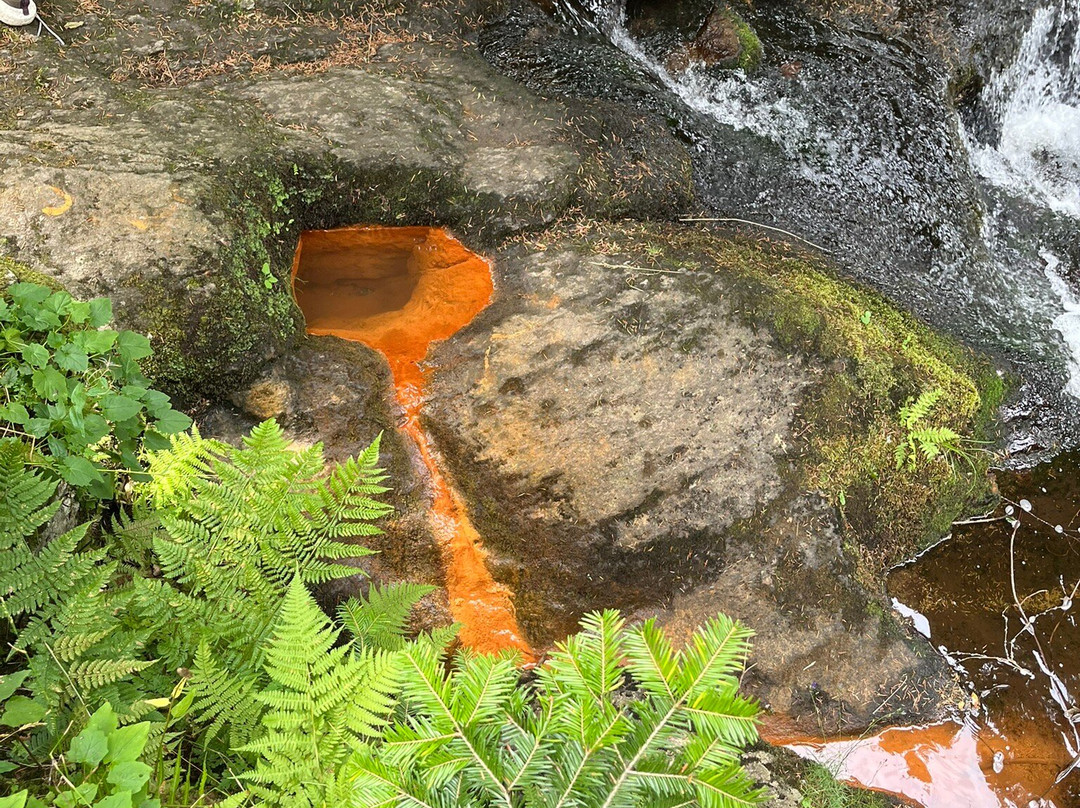 Cascade de Chorsin-Sauvain必去景点