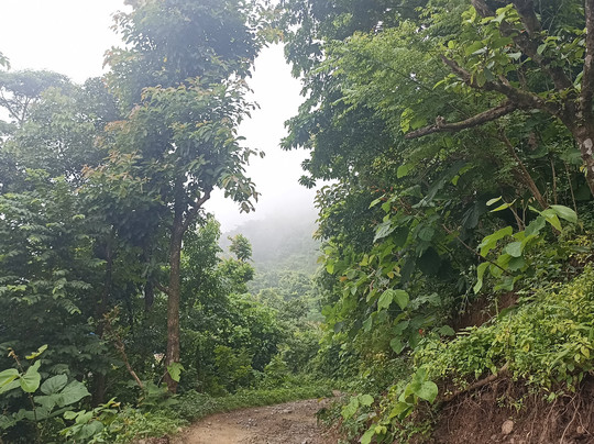 Chinde Dada View Tower