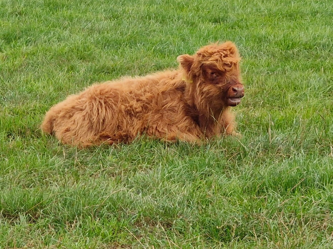 Fantasy Farm-Heather必去景点