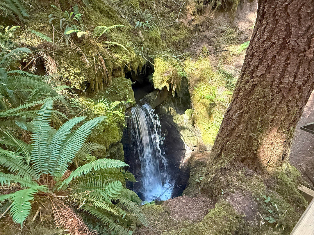 Eternal Fountain-Port Alice必去景点