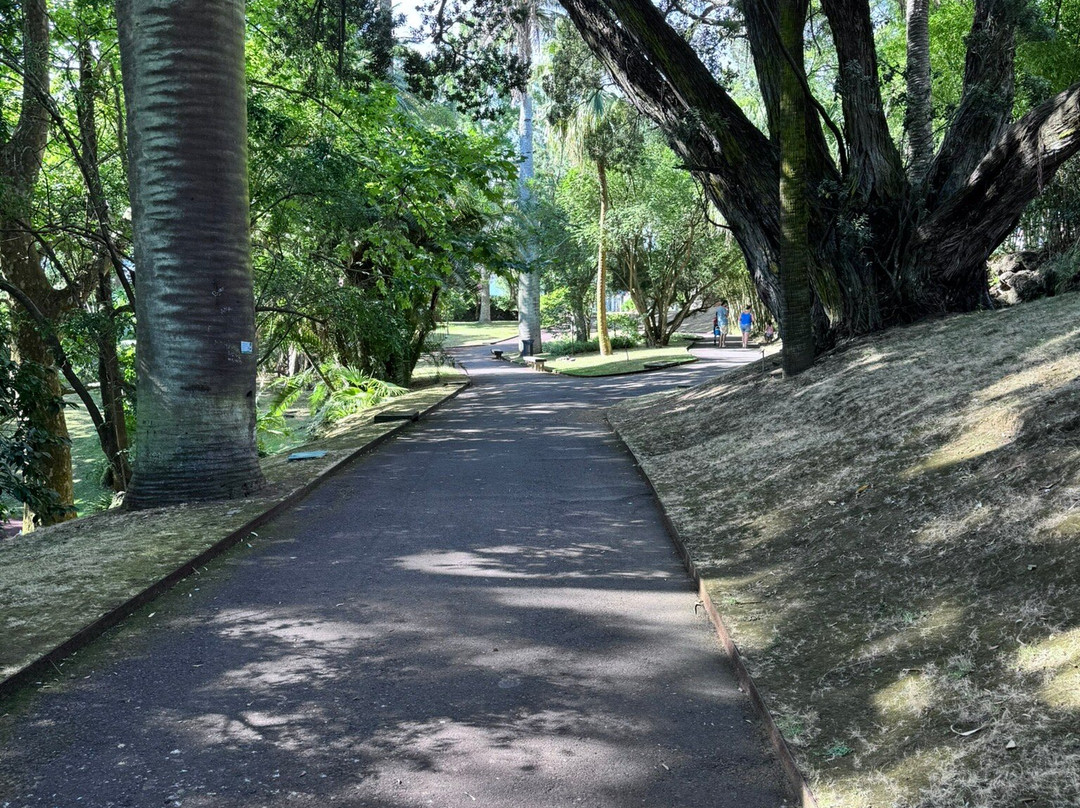 Jose do Canto Botanical Garden-蓬塔德尔加达必去景点