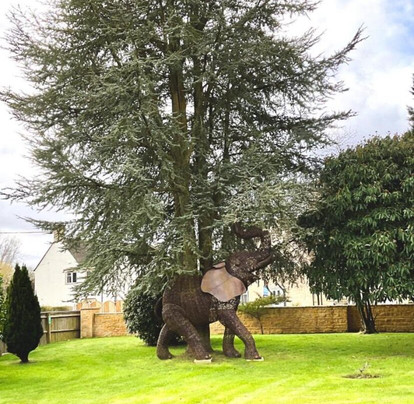 Southlands Bed & Breakfast主图