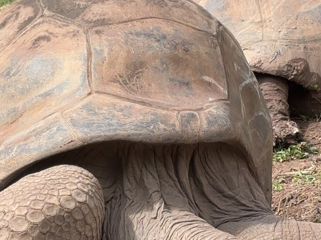 Mauritius Dreams Excursion-大湾必去景点