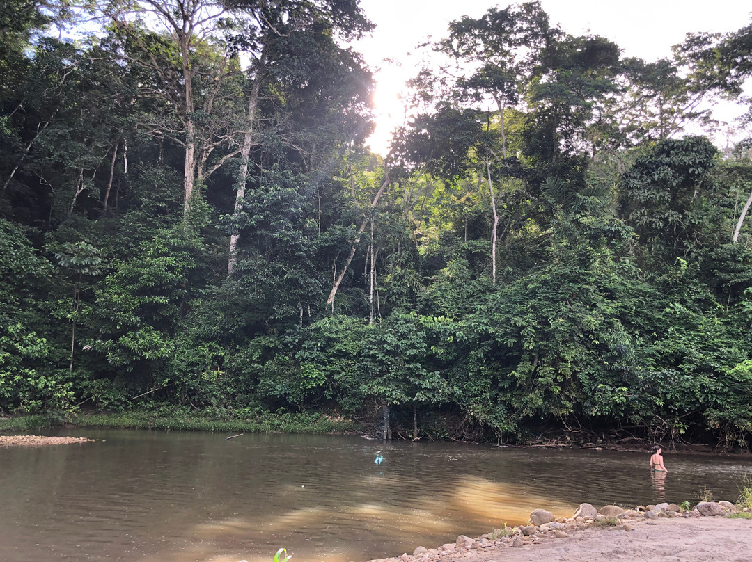 Roots Of The Amazon-Tarapoto必去景点
