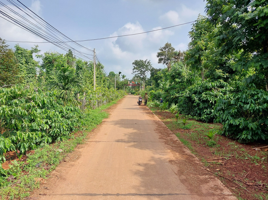 DakLak Tour-托伯莫里必去景点