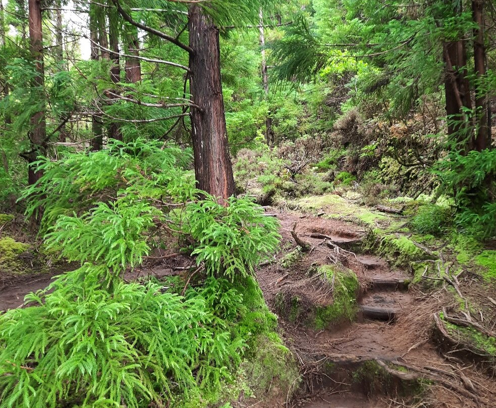 Trilha de Mistérios Negros-Terceira必去景点