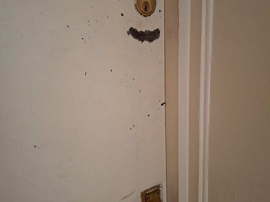 Beamish Mary Inn主图