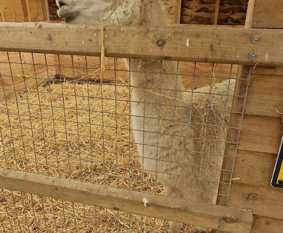Willhome Farm Barn-Camrose必去景点