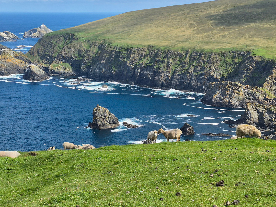 Shetland Nature-Unst必去景点