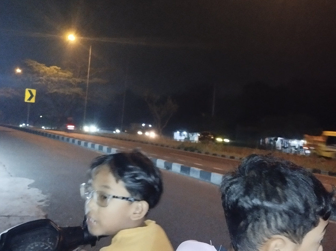 拉贾瓦利宜必思酒店主图