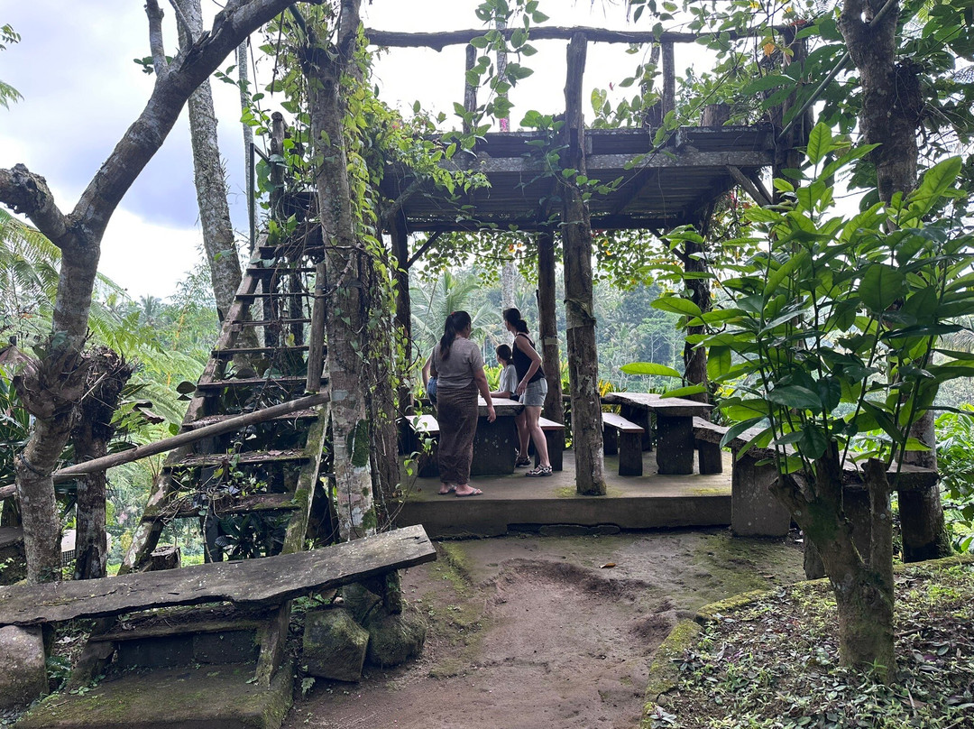 Bali Fascination Tour-Batubulan必去景点