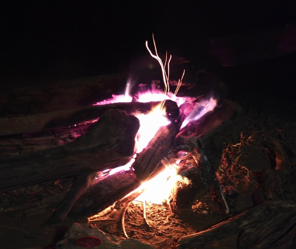 岘港猴山-Son Tra Peninsula必去景点