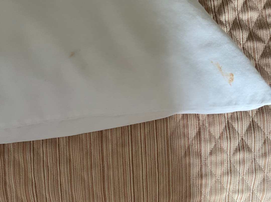 Days Inn By Wyndham Ottawa Airport主图