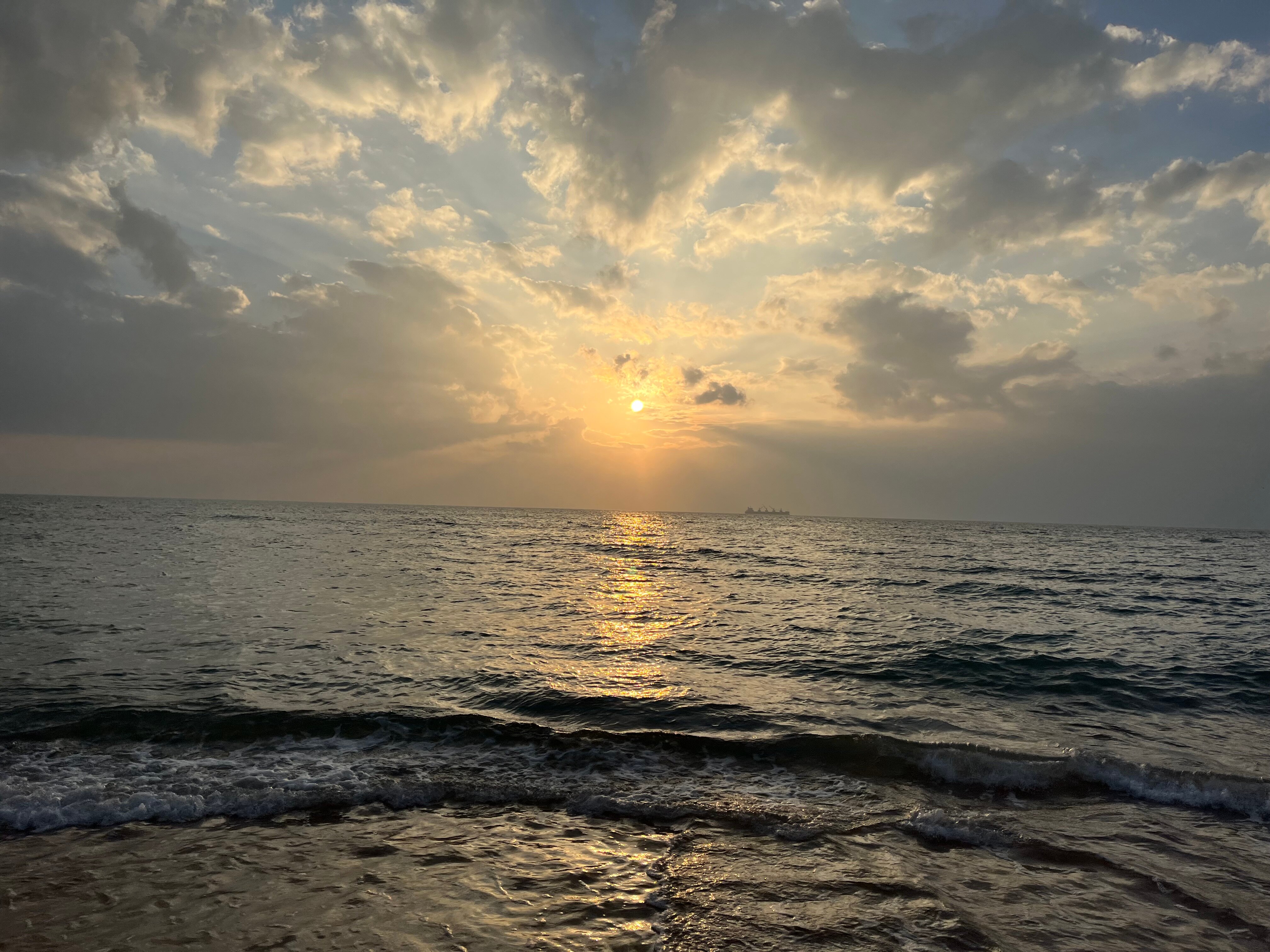 海豚海滩度假村-官方