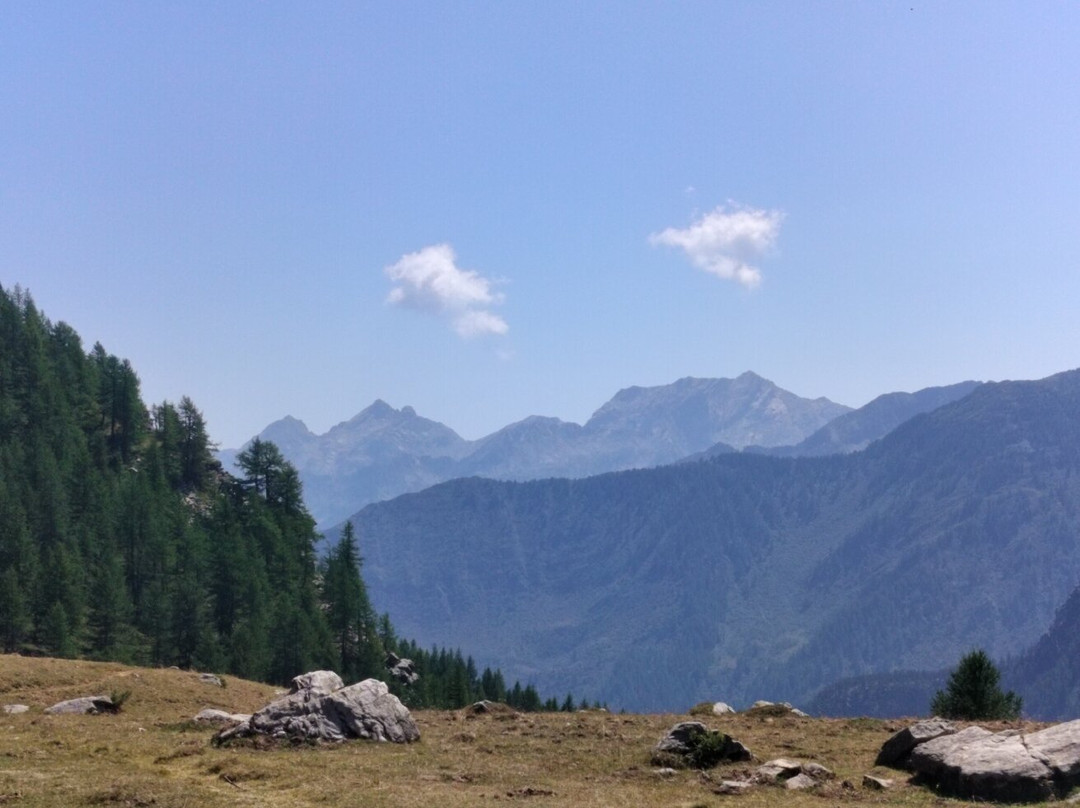 La Maison De Ghitta Cin It007034c1jywx主图