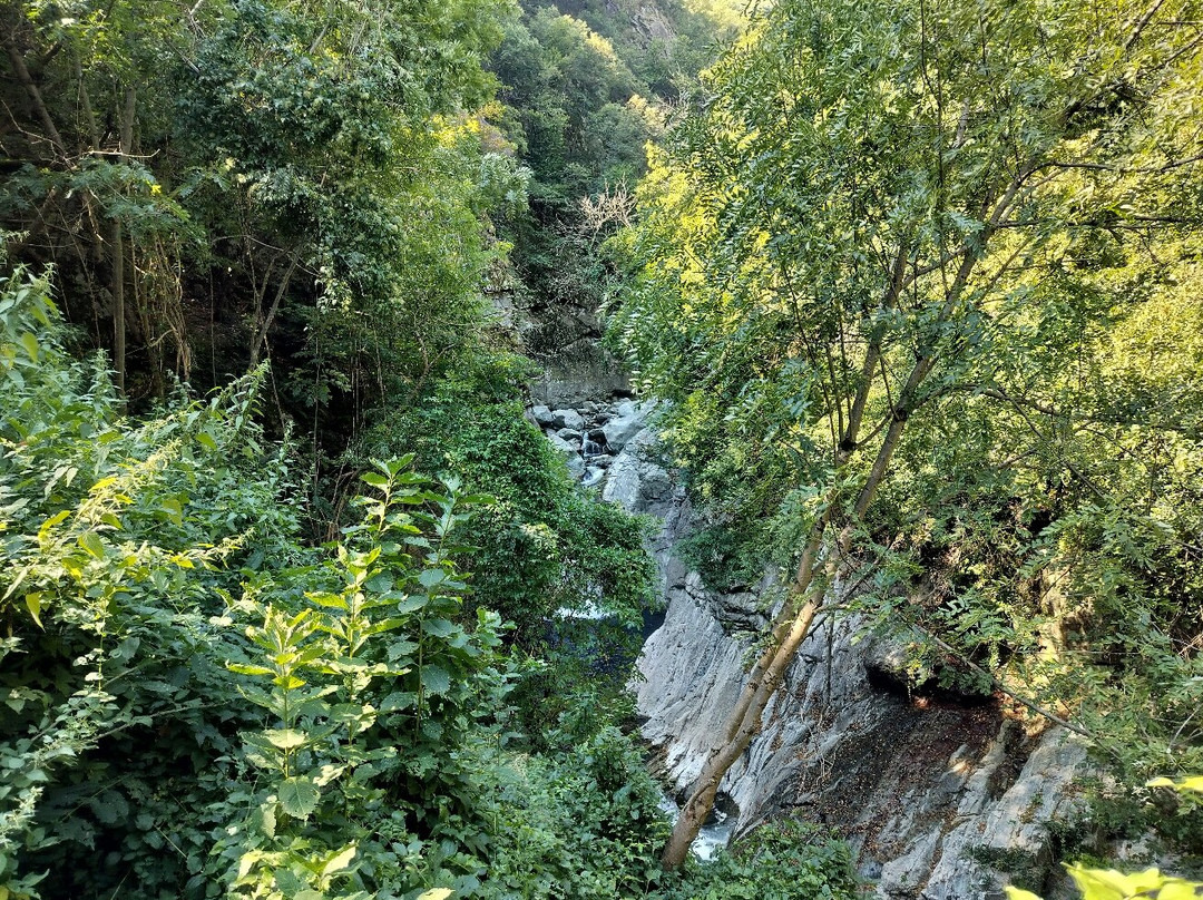 La Maison De Ghitta Cin It007034c1jywx主图