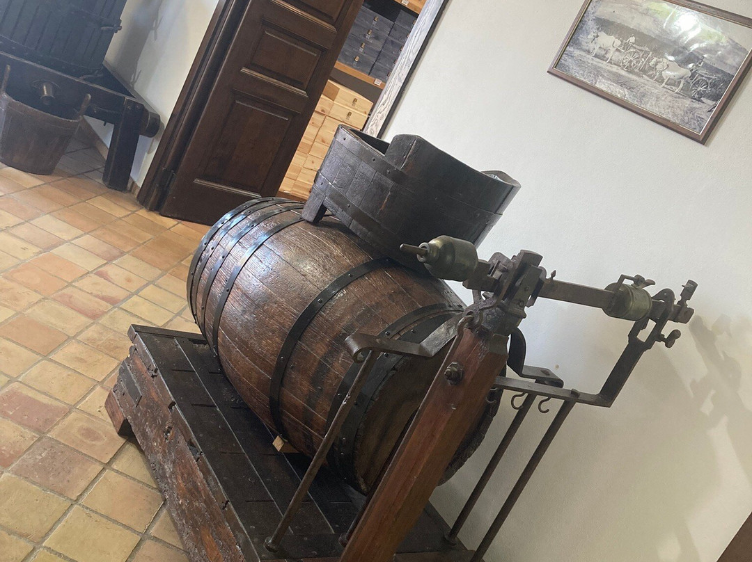 Tenuta Iuzzolini-Ciro Marina必去景点